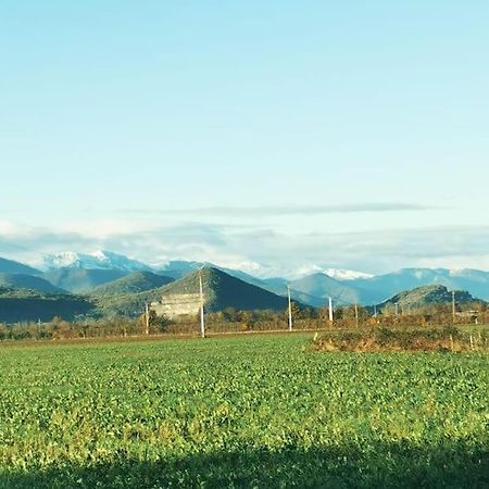 T3 Au Pied Des Pyrenees Διαμέρισμα Pointis-de-Riviere Εξωτερικό φωτογραφία