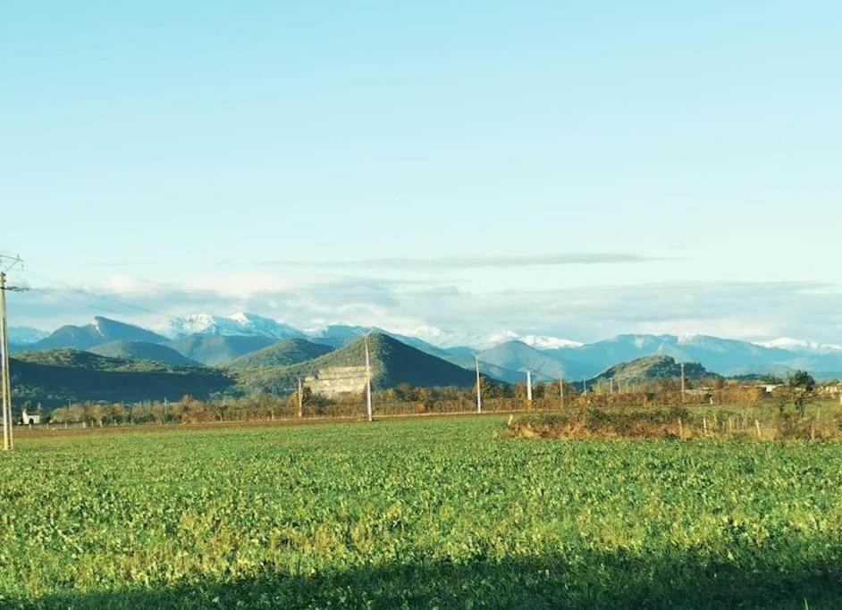 T3 Au Pied Des Pyrenees Διαμέρισμα Pointis-de-Riviere Εξωτερικό φωτογραφία